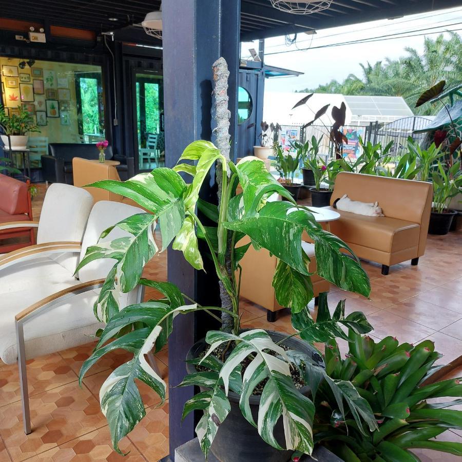 Kipbox Hotel Транг Экстерьер фото